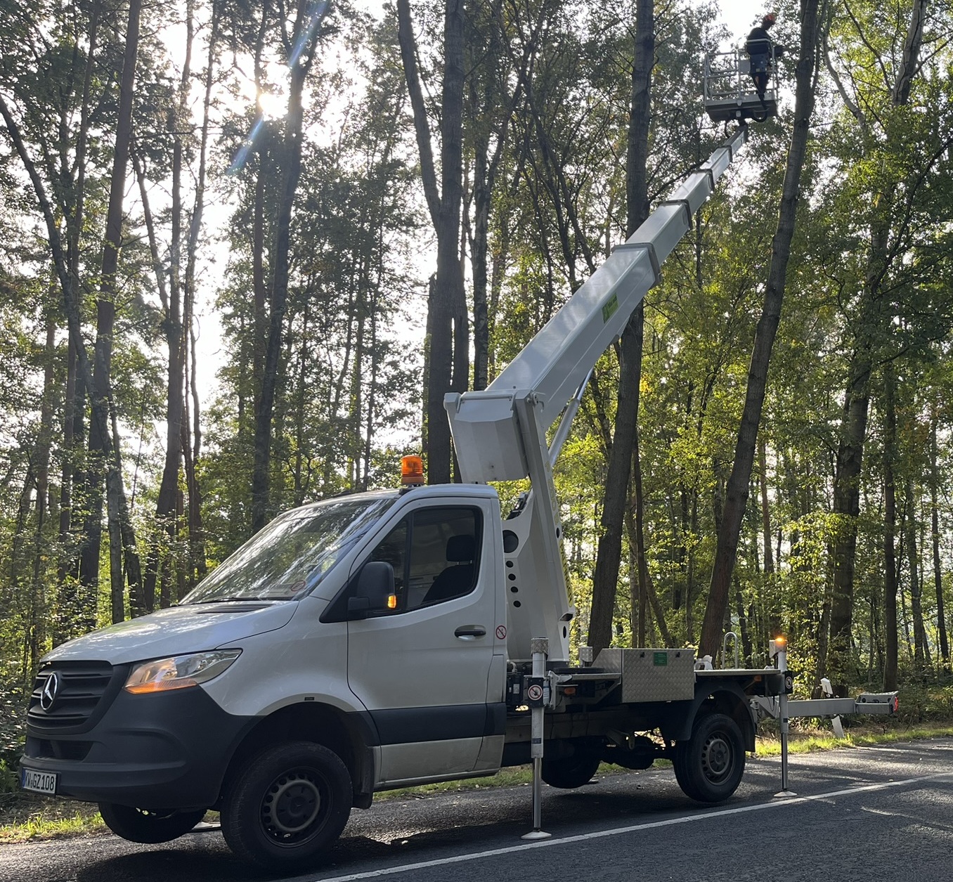 Hebebühne auf Sprinter für Baumarbeiten